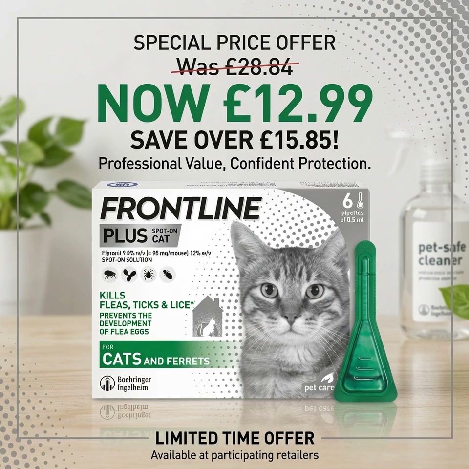 Autumn Deal of the Month — £12.99