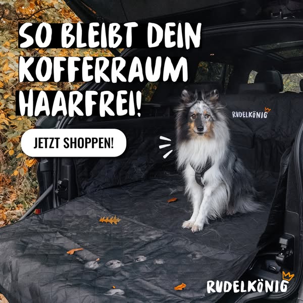 Kofferraumschutz von Rudelkönig
