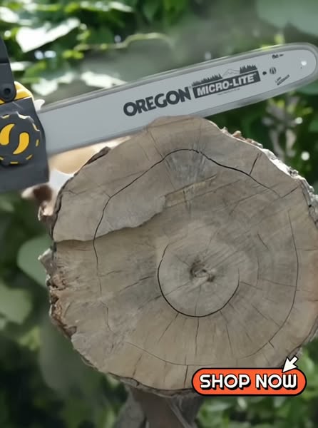 Cordless Power Tools for Every Task