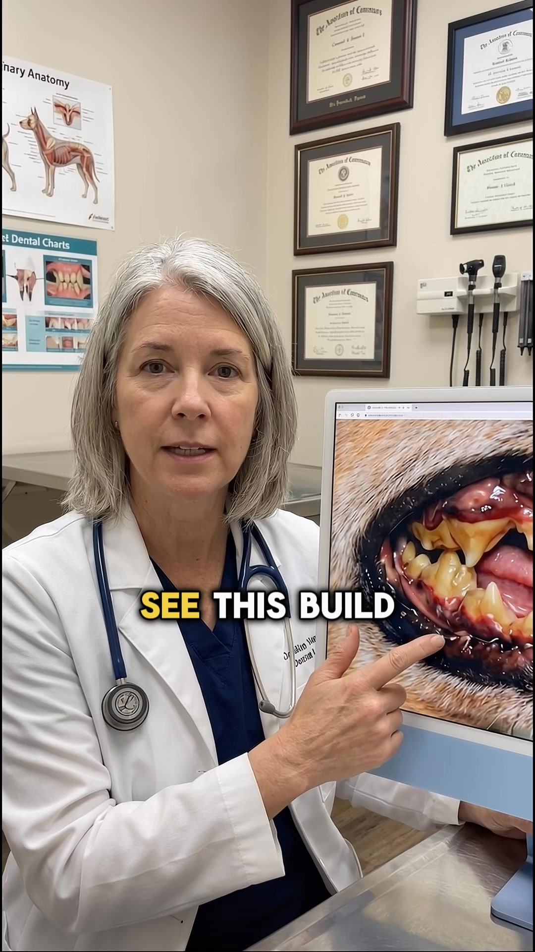 #1 Pet Dental Solution