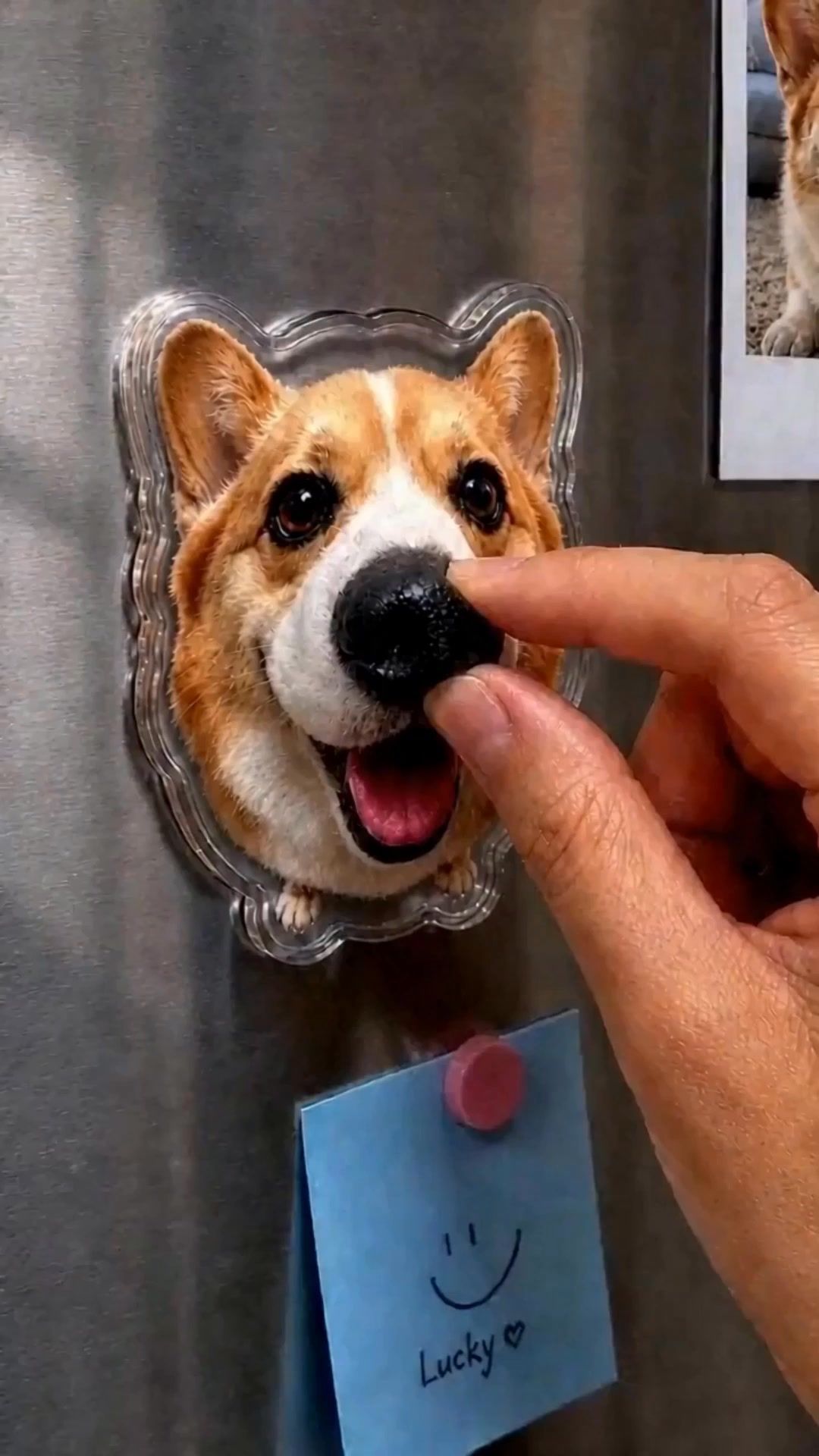 Custom Squishy Fridge Magnet | ONLY $15.95‼