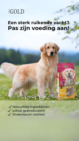 Last van een sterk ruikende vacht?
