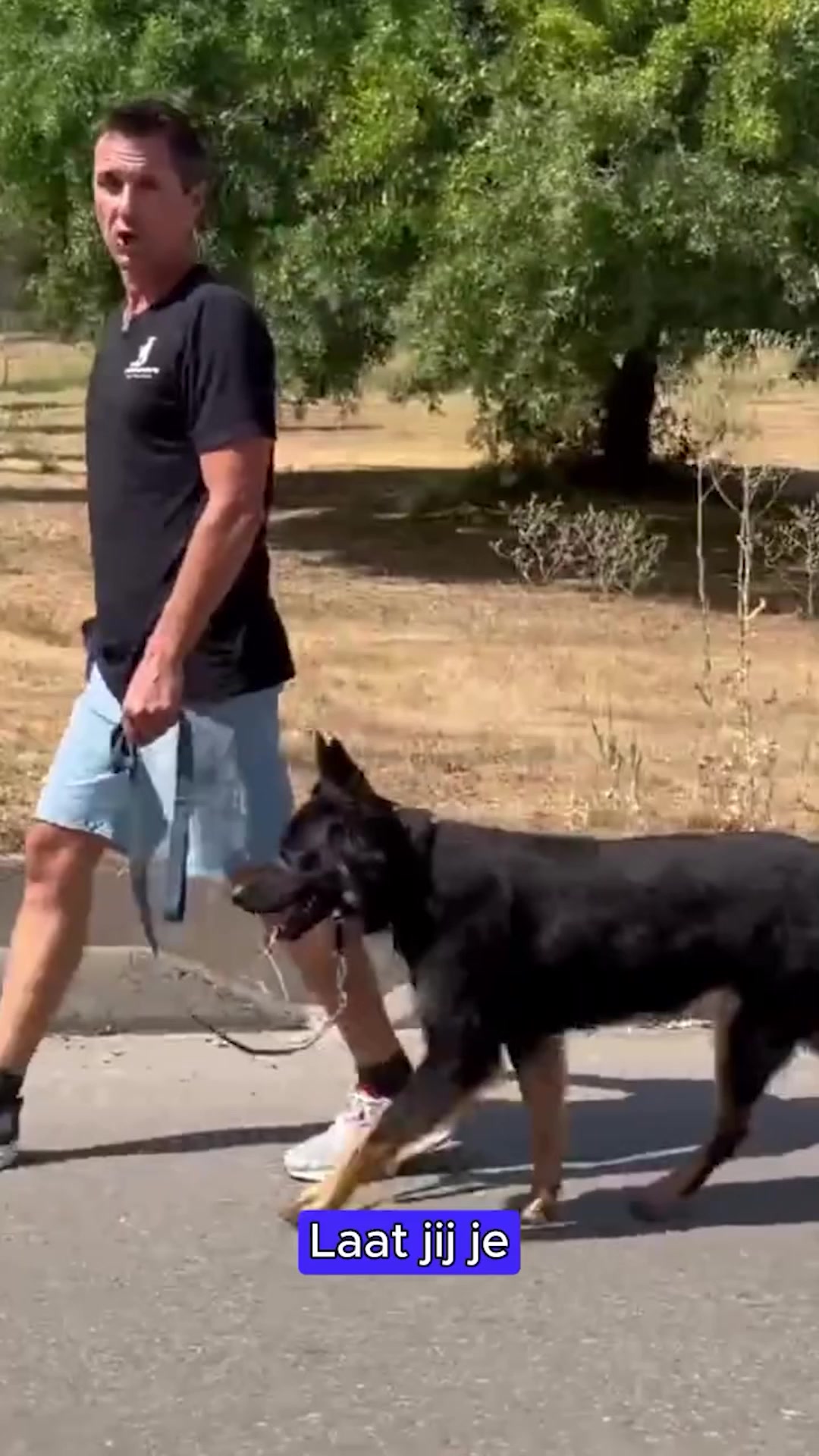 Ontwikkeld samen met dierenartsen