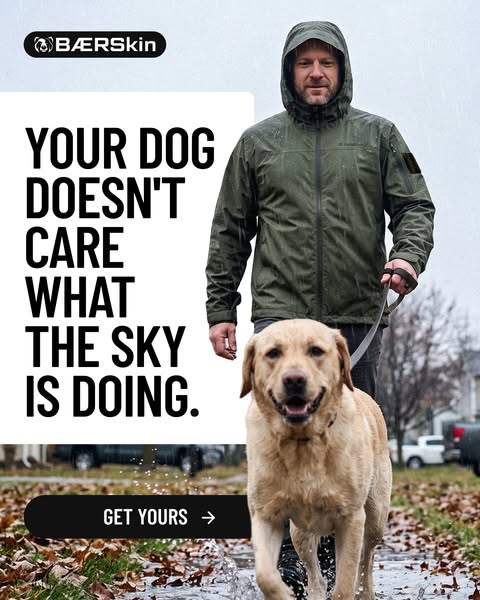 Your Dog Doesn't Care What the Sky Is Doing.