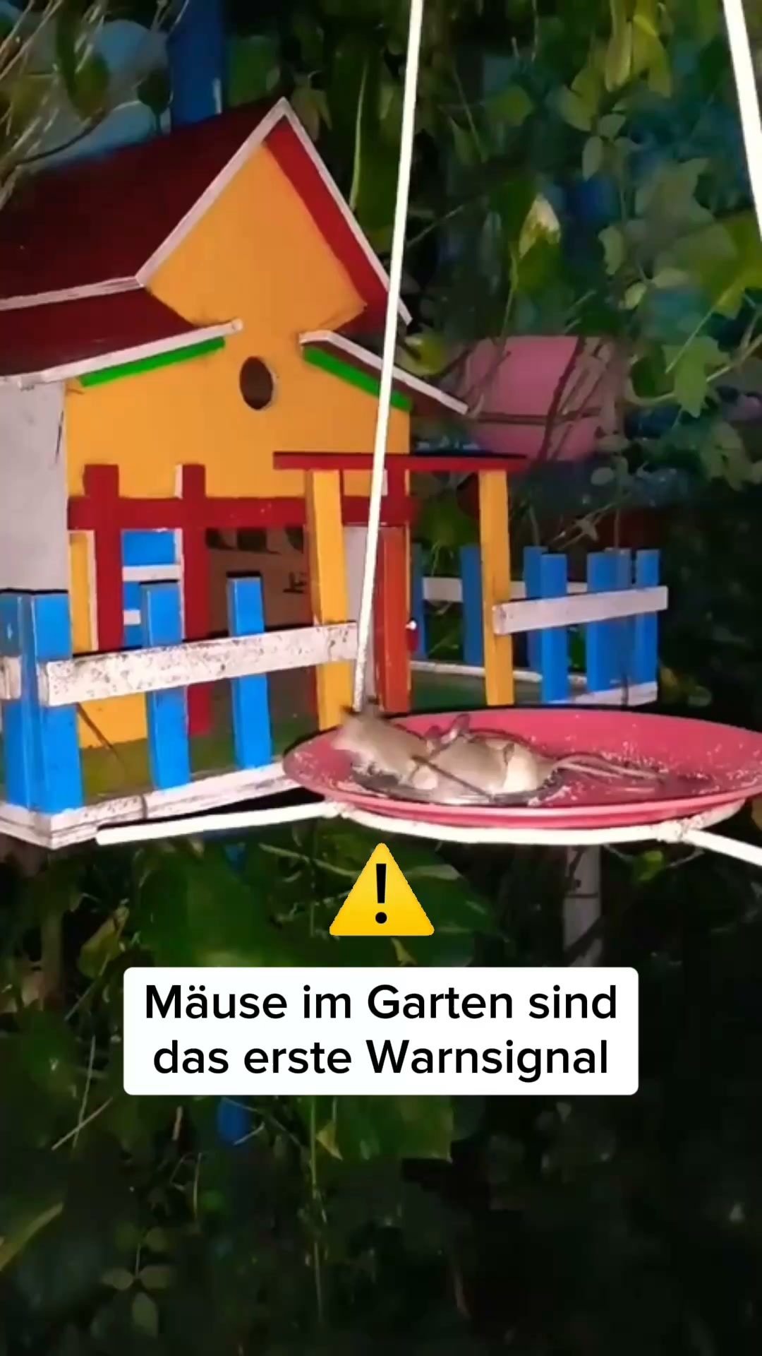 Über 16.000 glückliche Kunden