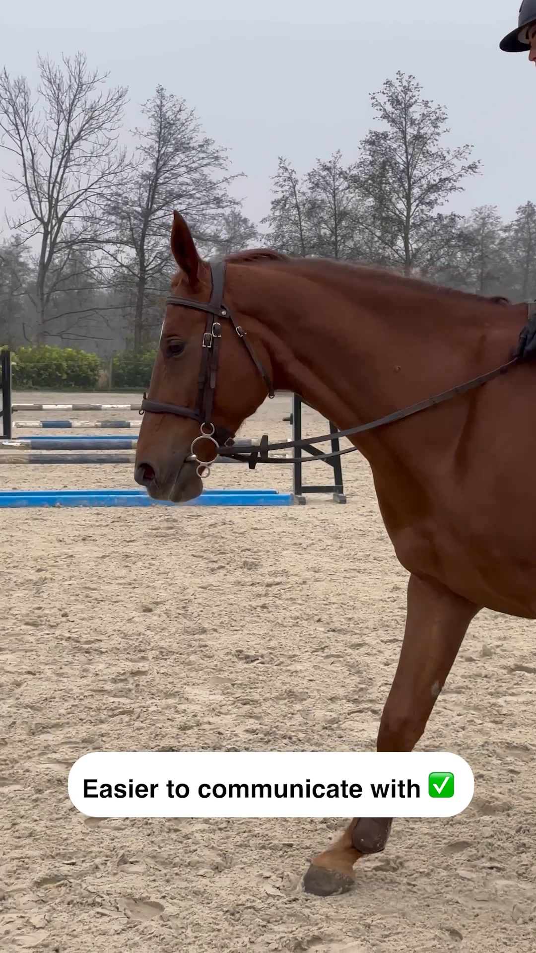 Calm horse = Smooth ride