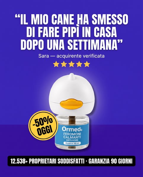 50% Oggi