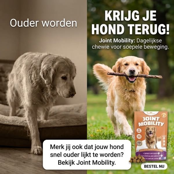 We Dachten Dat Luna Doodging