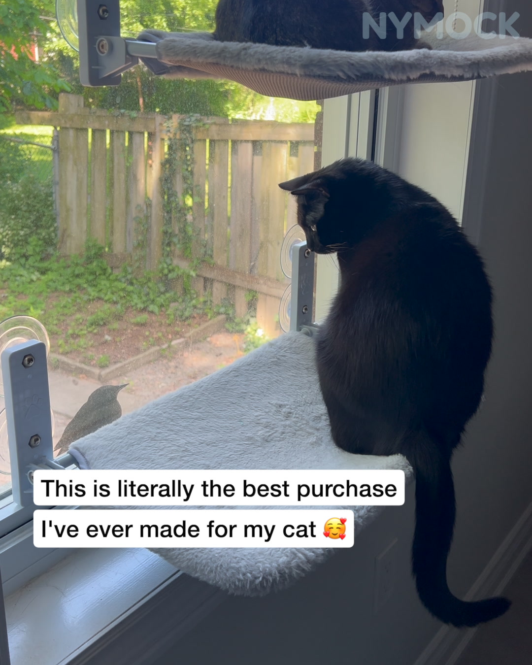 Elevate Your Cat’s World and Your Space