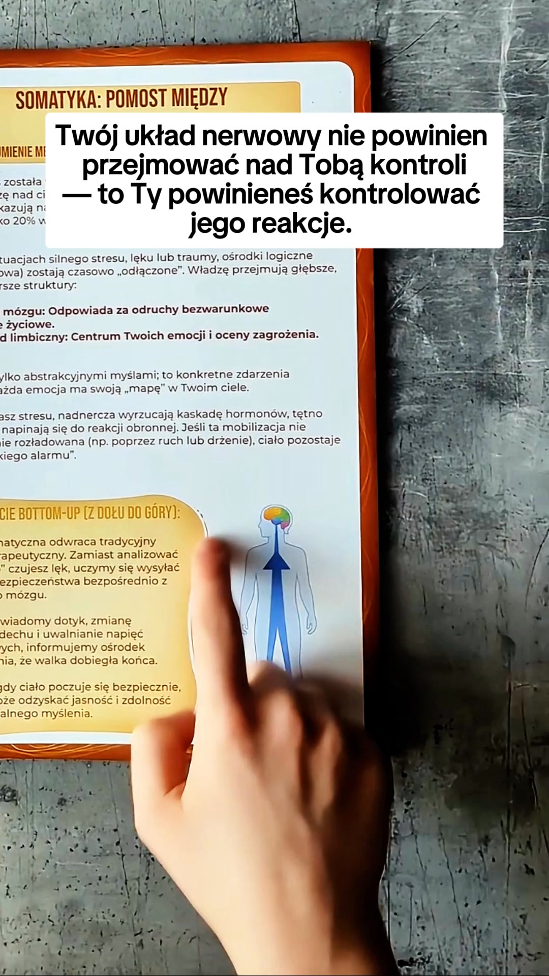 Zeszyt Ćwiczeń Terapii Somatycznej