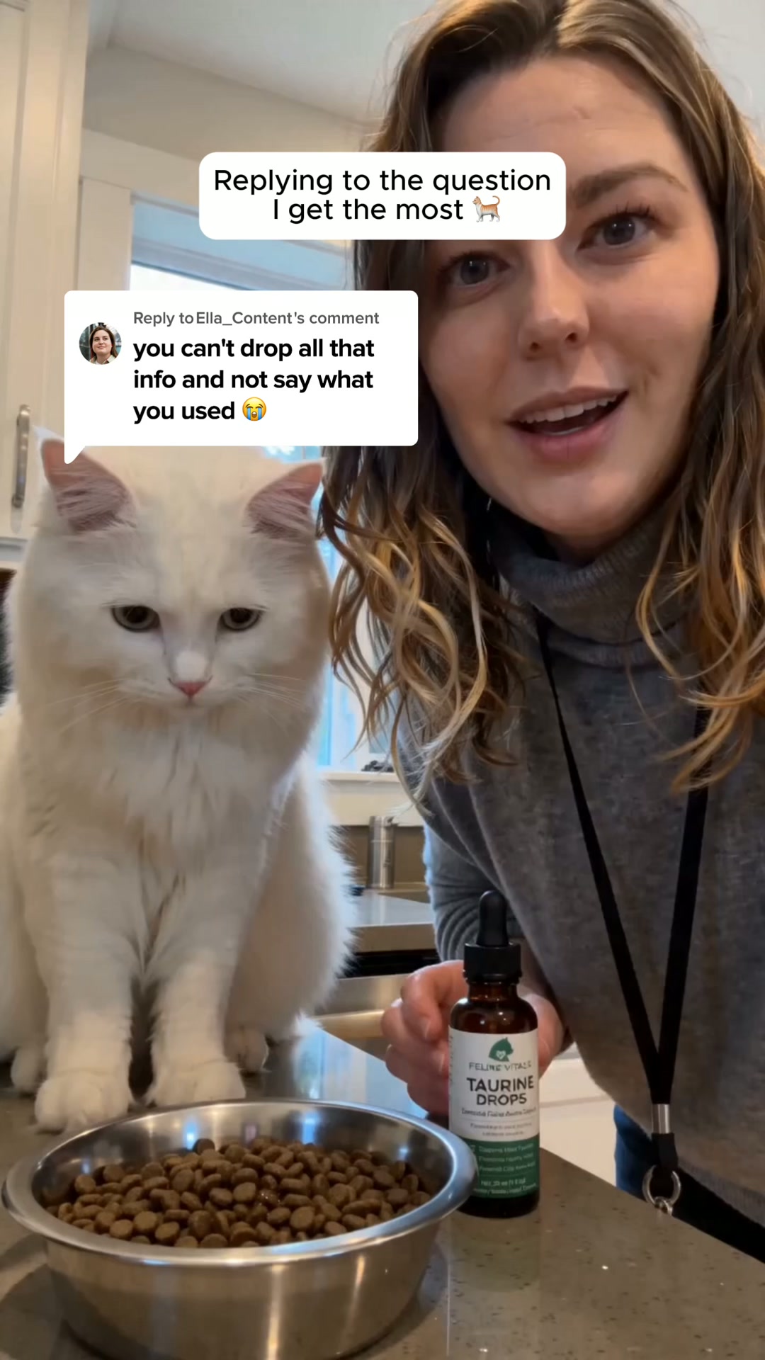 Every Test Came Back Normal. My Cat Was Dying Anyway.