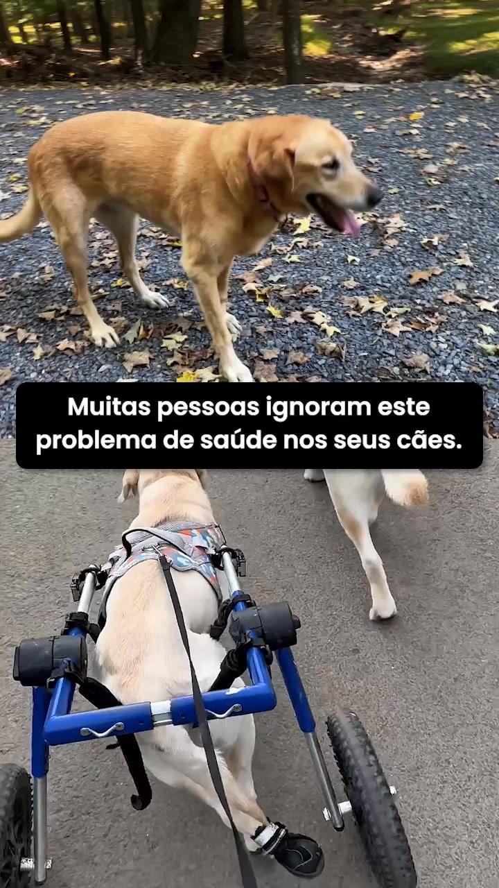 Pastilhas para o cuidado das articulações