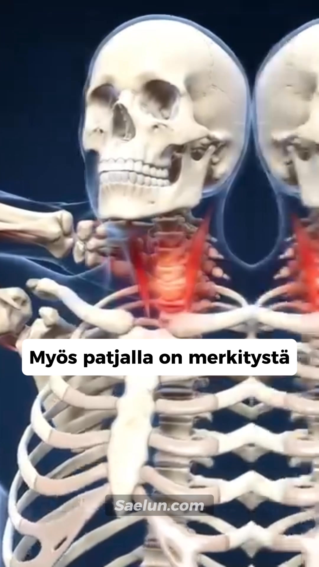 Tänään alennuksessa + Ilmainen toimitus
