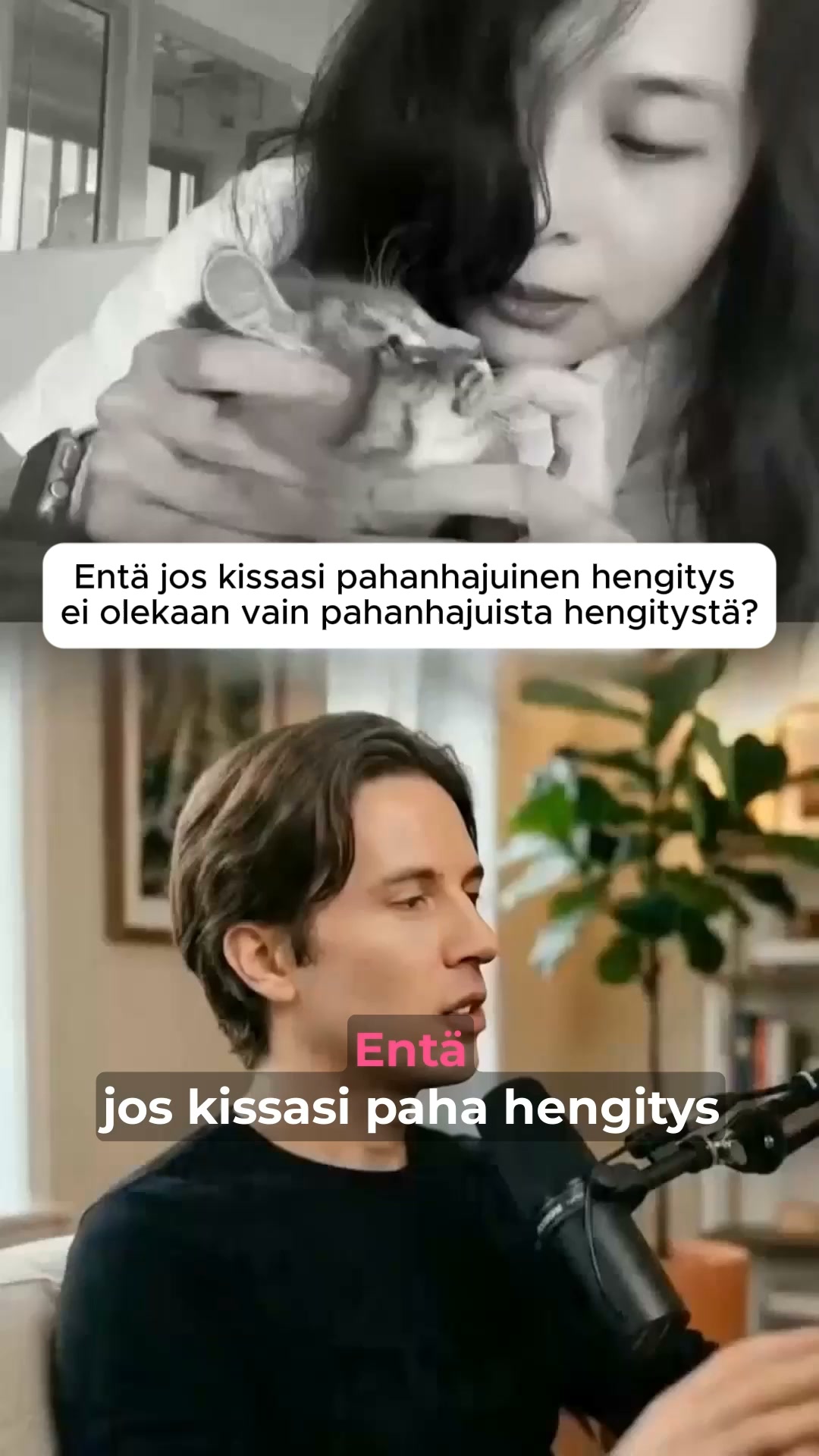 Onnellisempi kissa odottaa