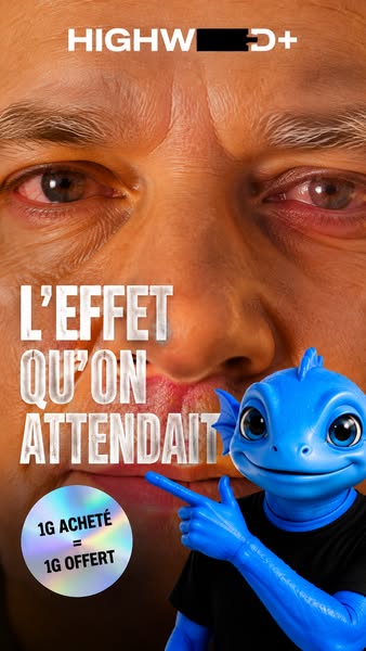 Tout doit disparaître