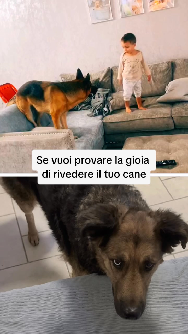 Ossa & Articolazioni