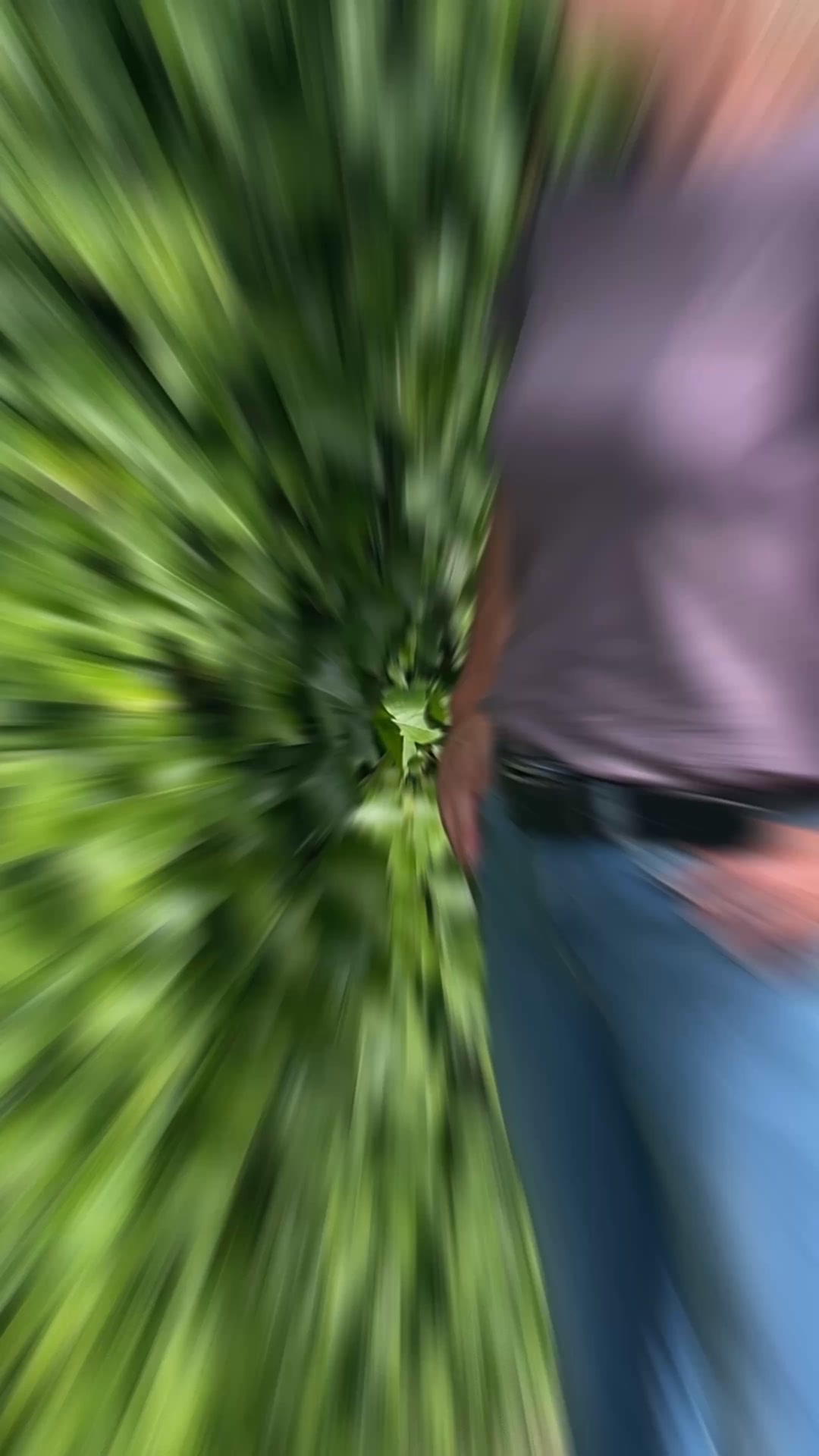 Stel jij het snoeien ook steeds uit?
