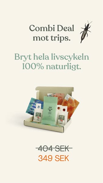 Beställ och låt naturen göra jobbet