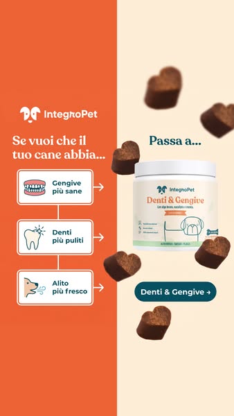 Aiuta il tuo cane oggi