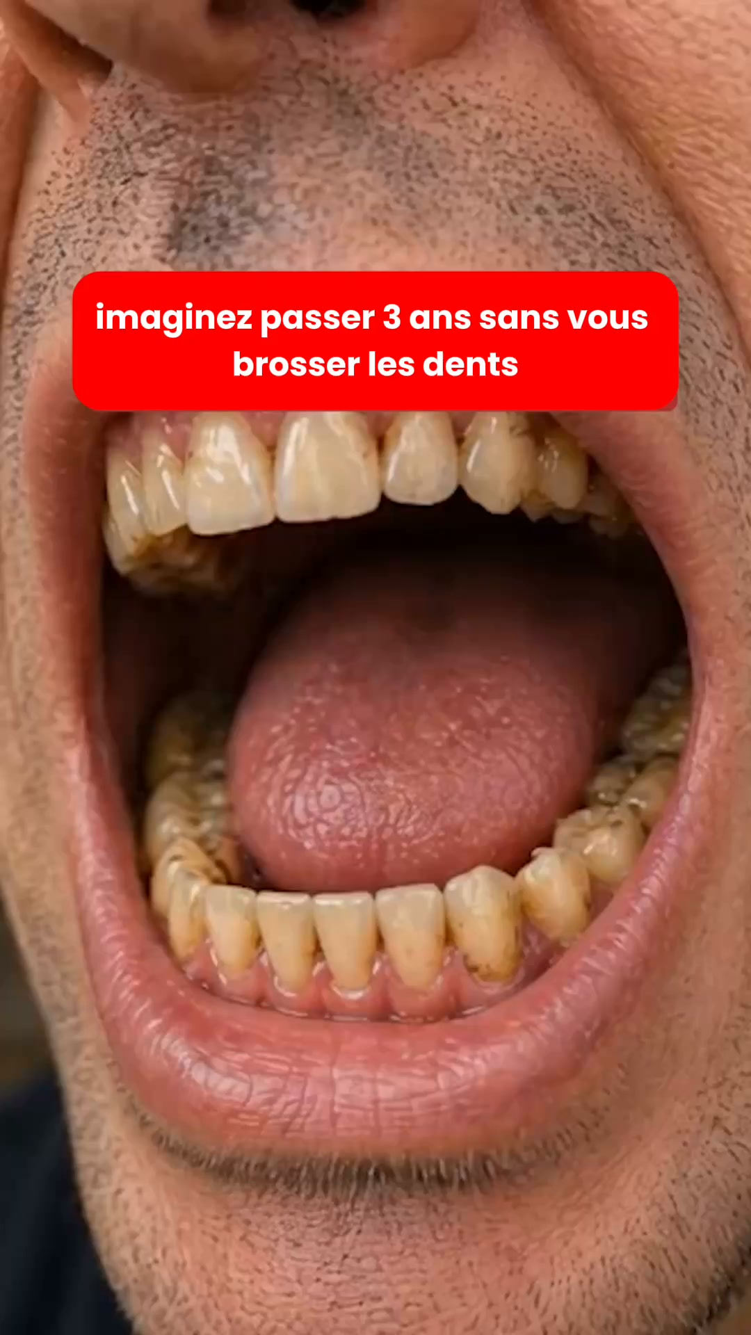 2 ACHETÉS = 1 OFFERT — Durée limitée