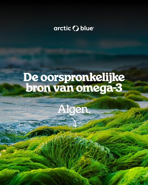 Geen viseter?