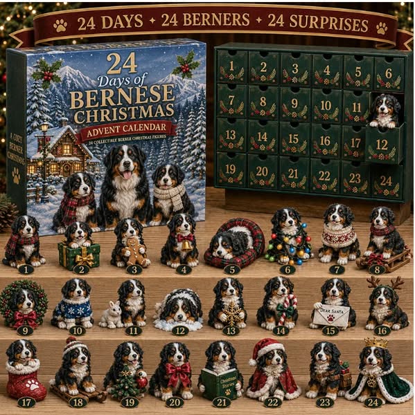 24 Überraschungen für echte Berner-Fans