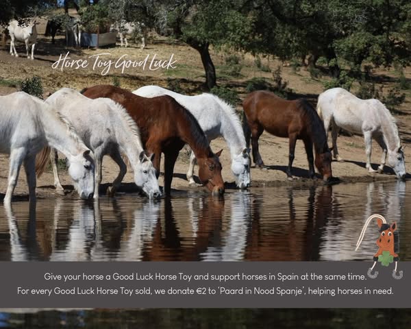 QHP Quality Horse Products