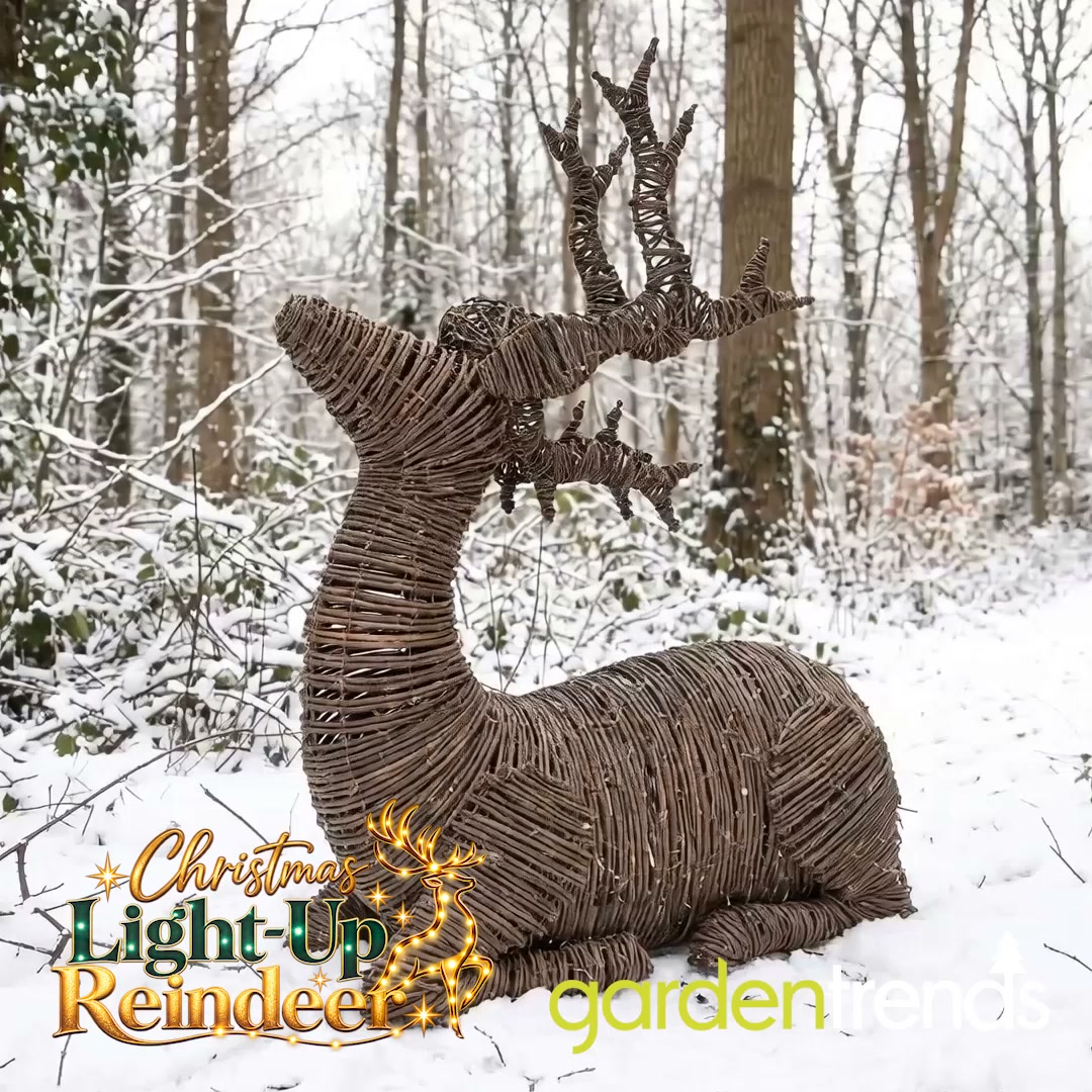 LED Reindeer Lights