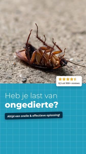 Wacht niet tot het te laat is!