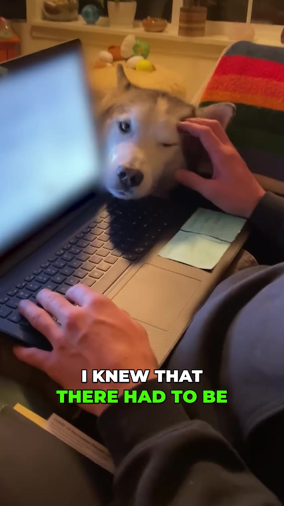 Help your dog move freely again