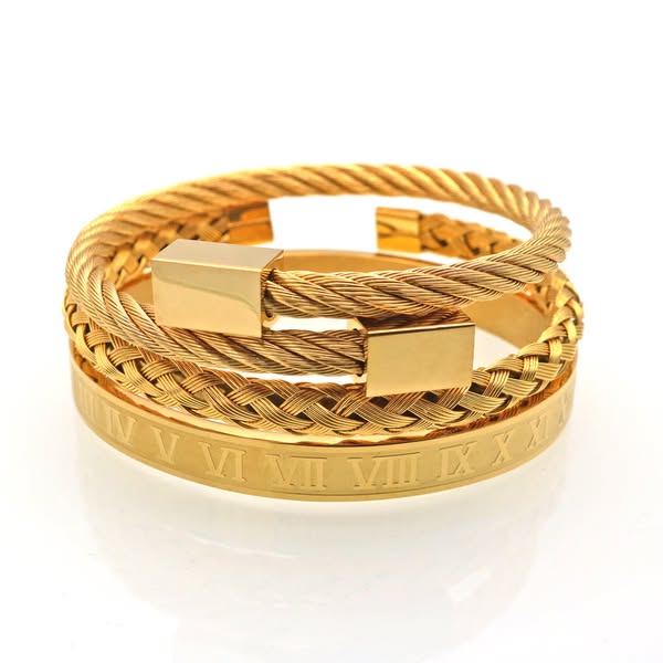 Bangle Braided Titanium Steel Bracelet