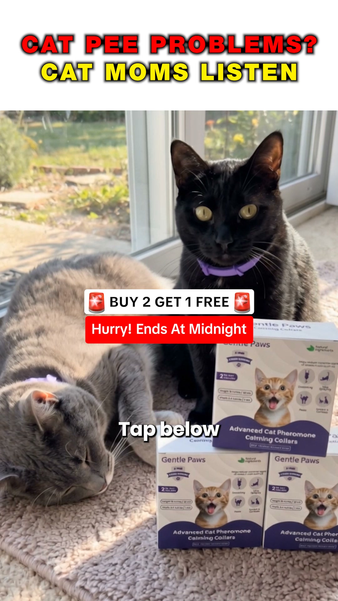 Buy 2, Get 1 Free Tonight