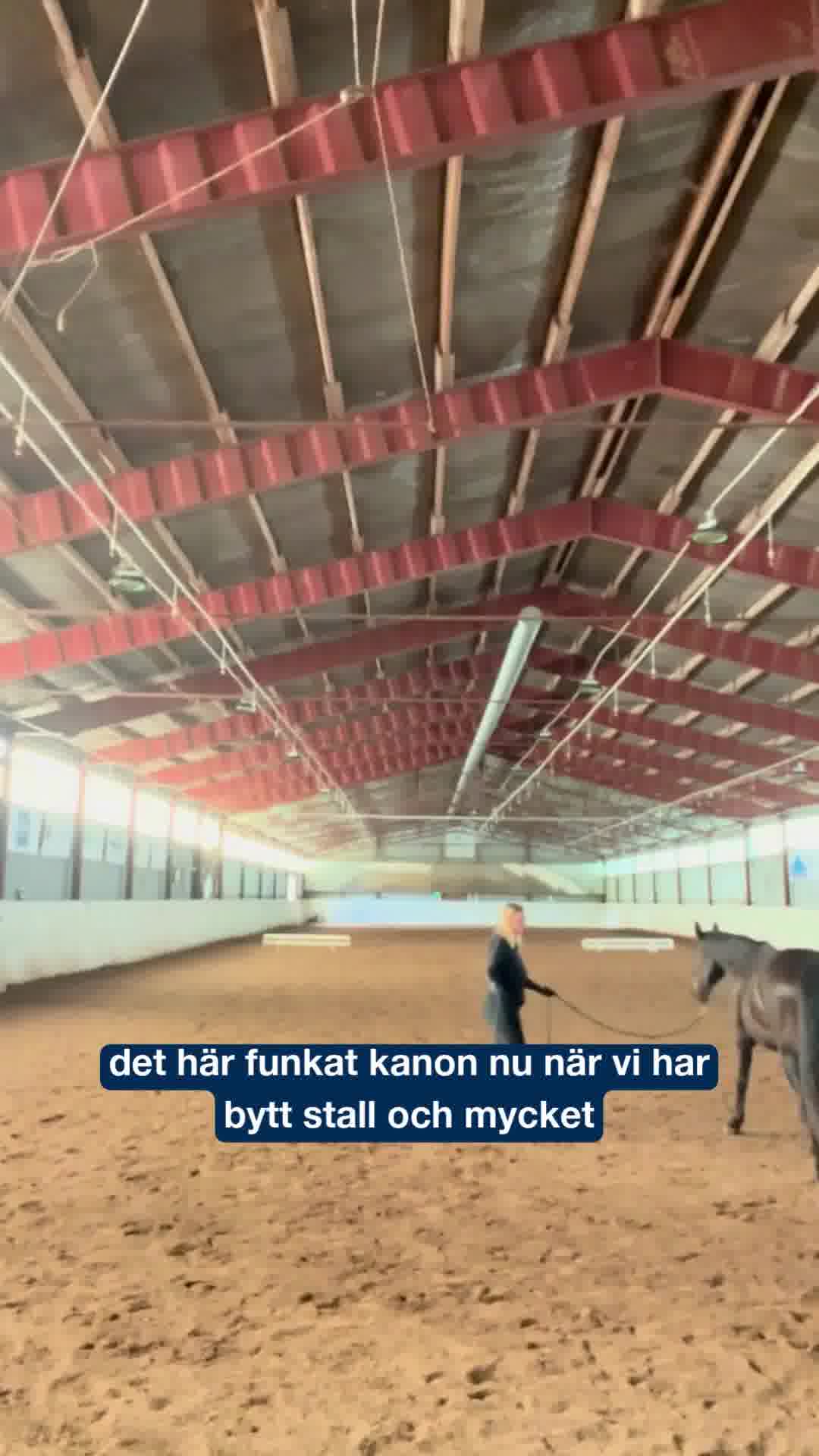 Hästmassören Hanna tipsar om AnxiKalm