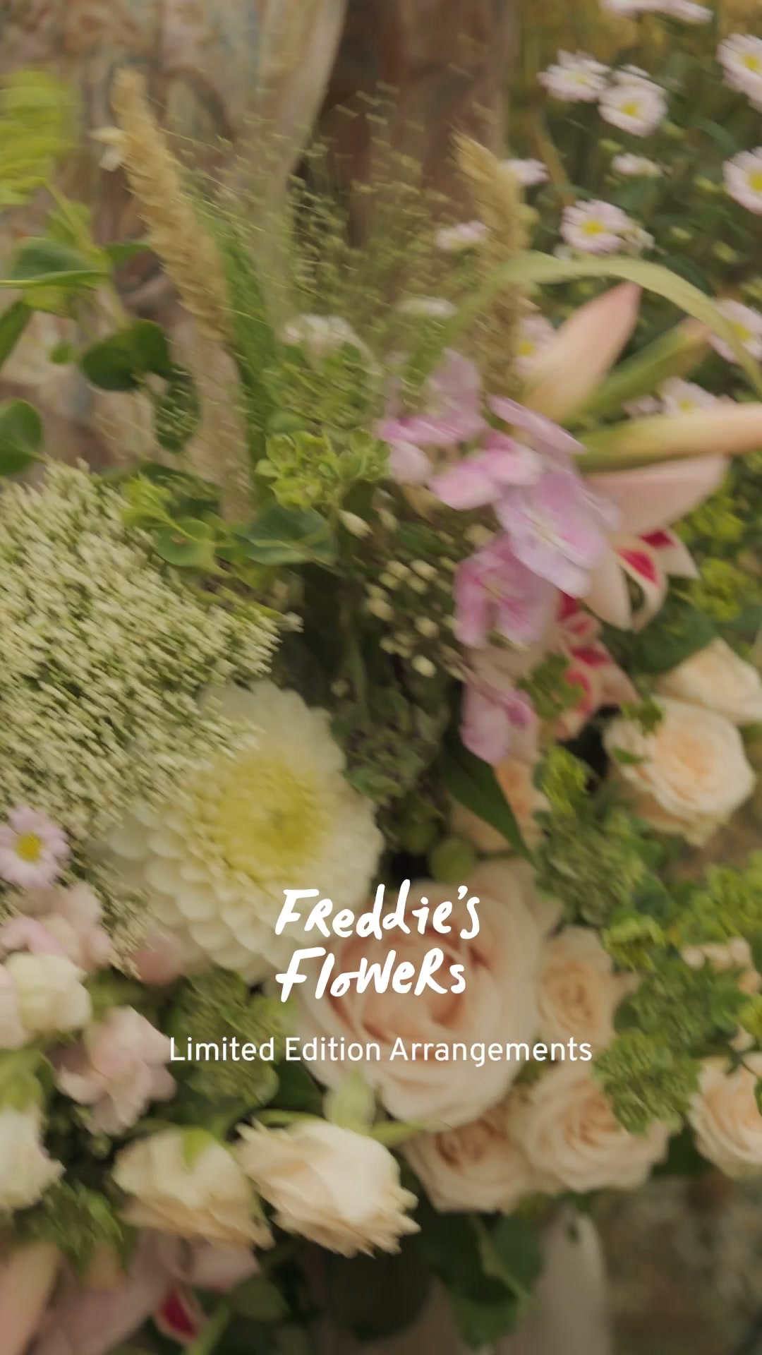 Freddie's Flowers X Sense & Sensibility