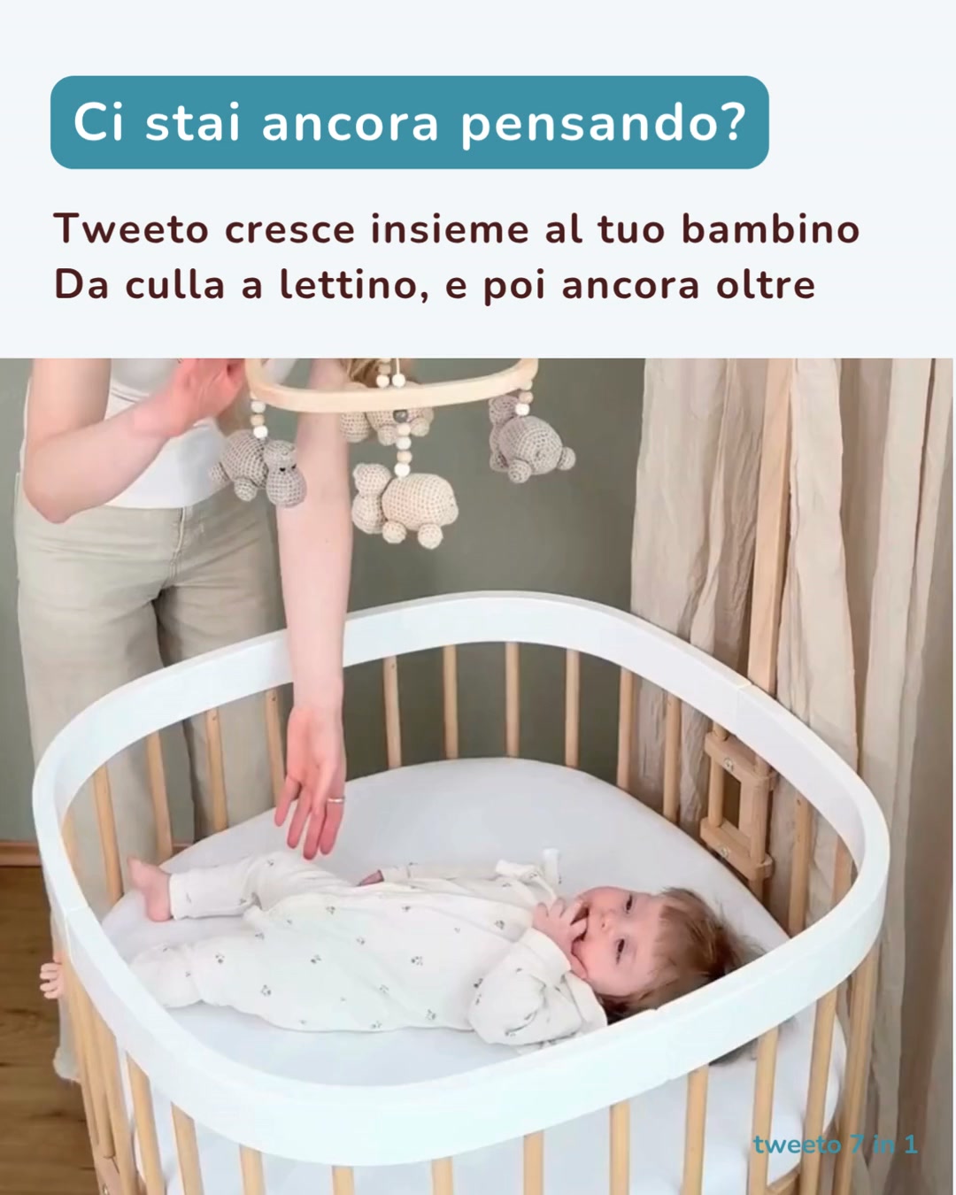Spedizione gratuita