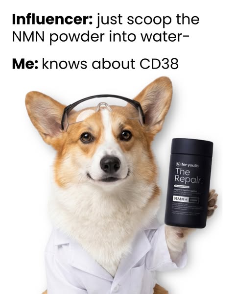 The molecule no NMN influencer mentions