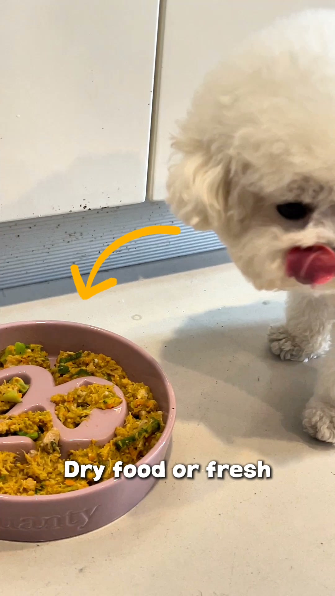 A Mealtime Game Changer