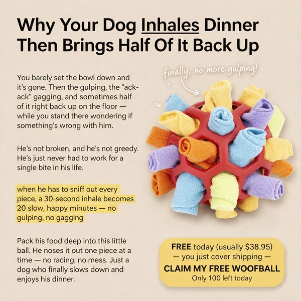 No more gulping and gagging at dinner. He has to sniff every piece out, so a 30-second inhale becomes 20 calm minutes. Free today, just pay