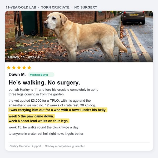 Week 5, The Paw Came Down