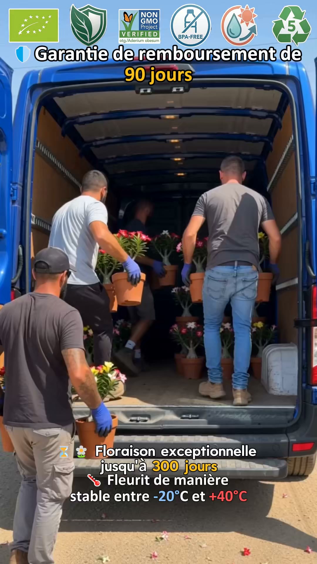 La plante qui ne meurt jamais – arrosez‑la et elle vit 100 ans !