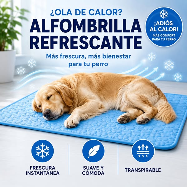 Dale su rincón fresco este verano