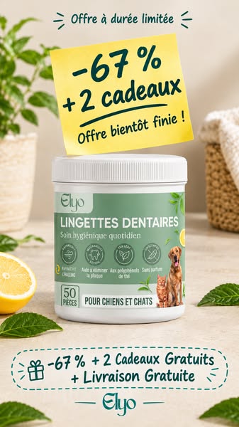 Offrez à votre chien une vie plus saine et plus heureuse
