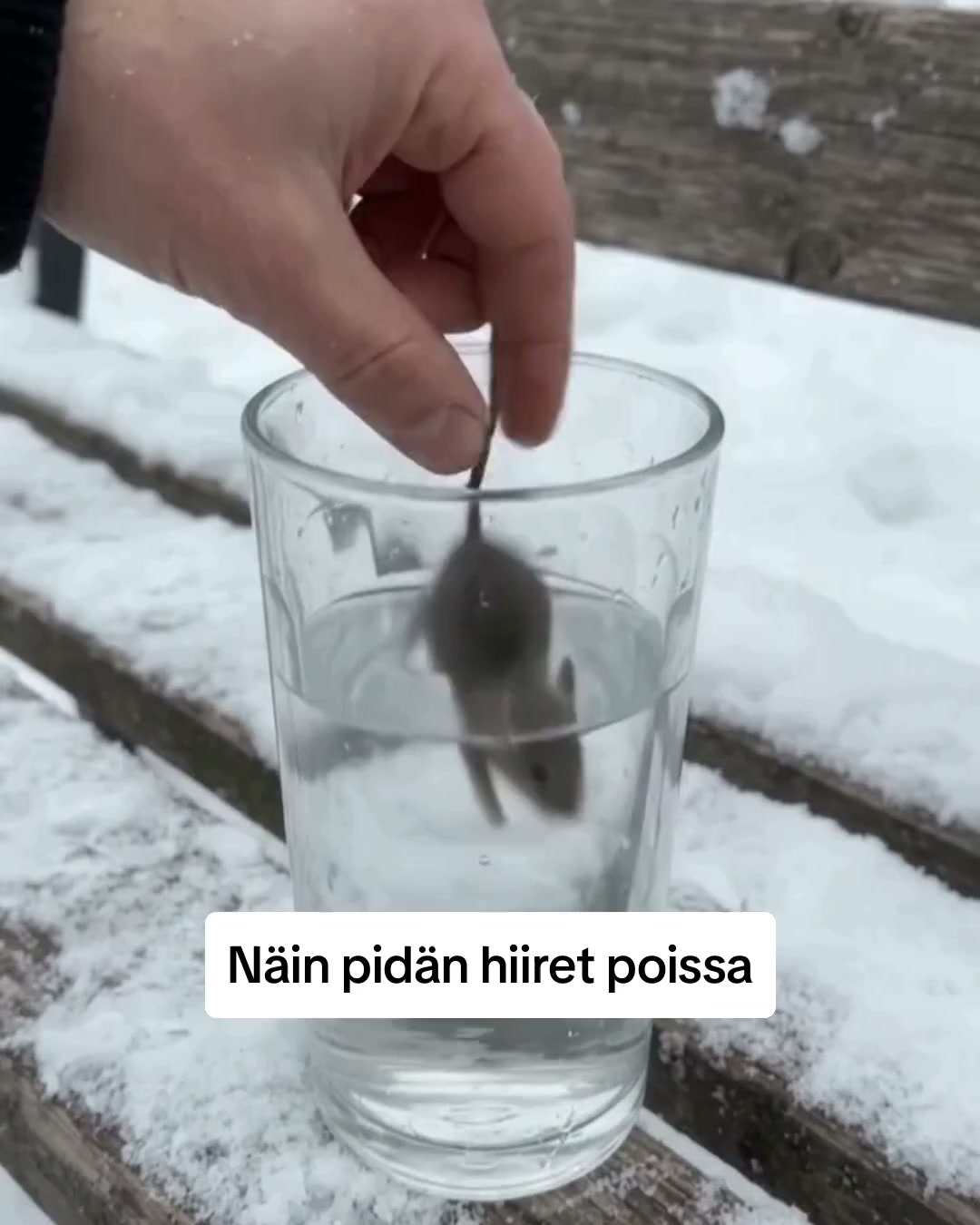 Yli 16 000 tyytyväistä asiakasta