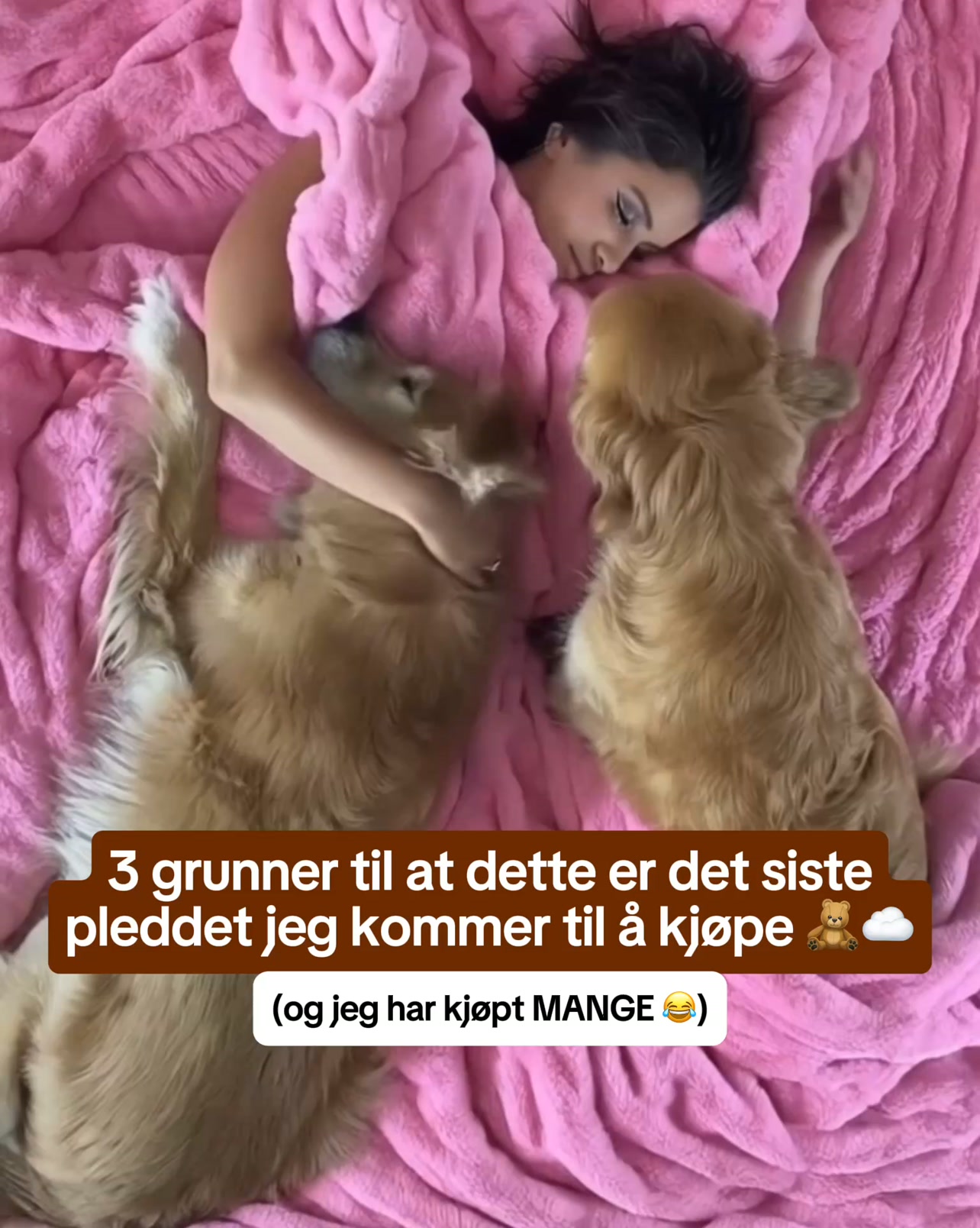 Det nye Komfortpleddet – lanseringstilbud