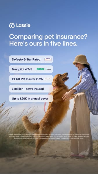 Insure your pet today
