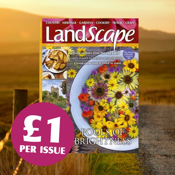 3 issues for just £3