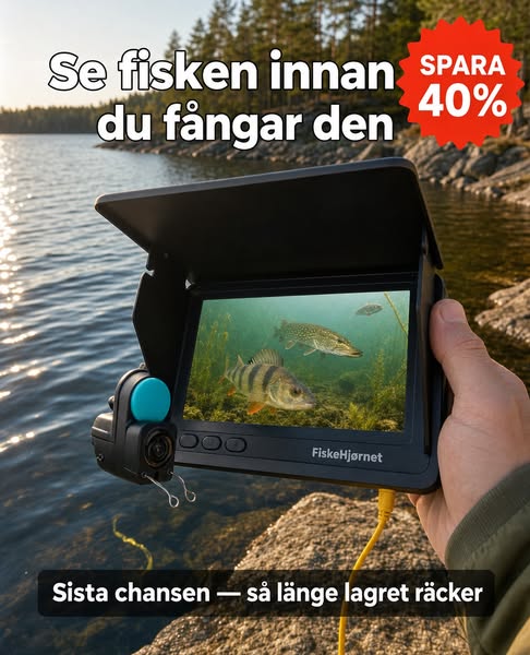 Se fisken innan du kastar