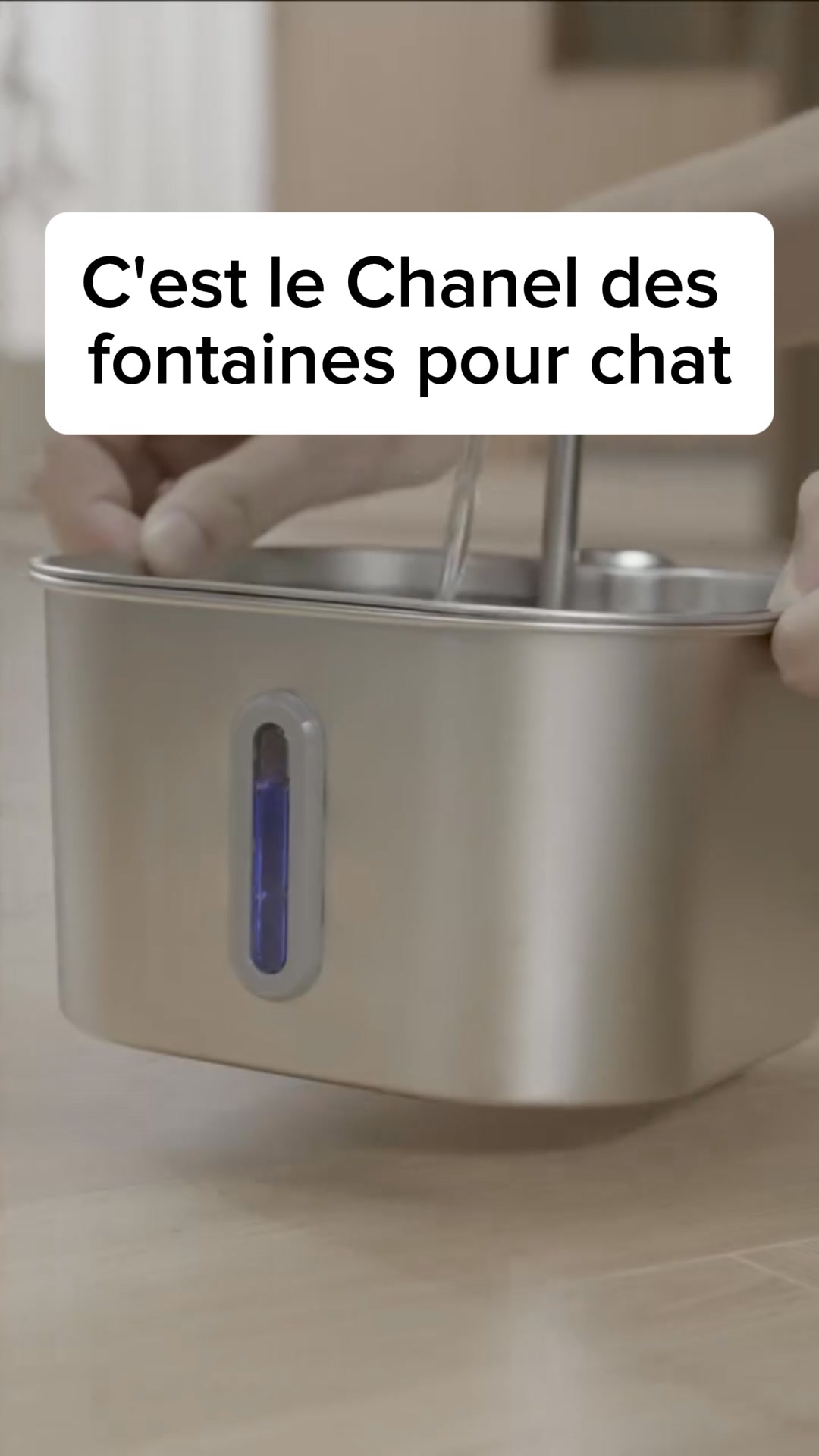 La fontaine en inox que les chats adoptent en 30min