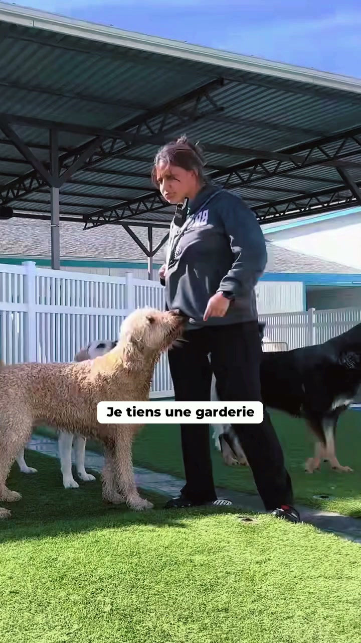 Fini les bactéries et les odeurs d'animaux dans ta machine à laver
