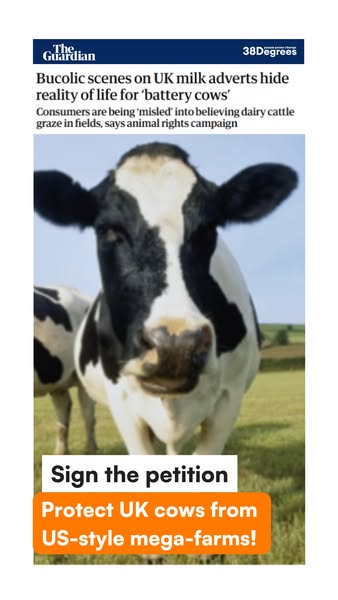 Stop Battery Cow Farming